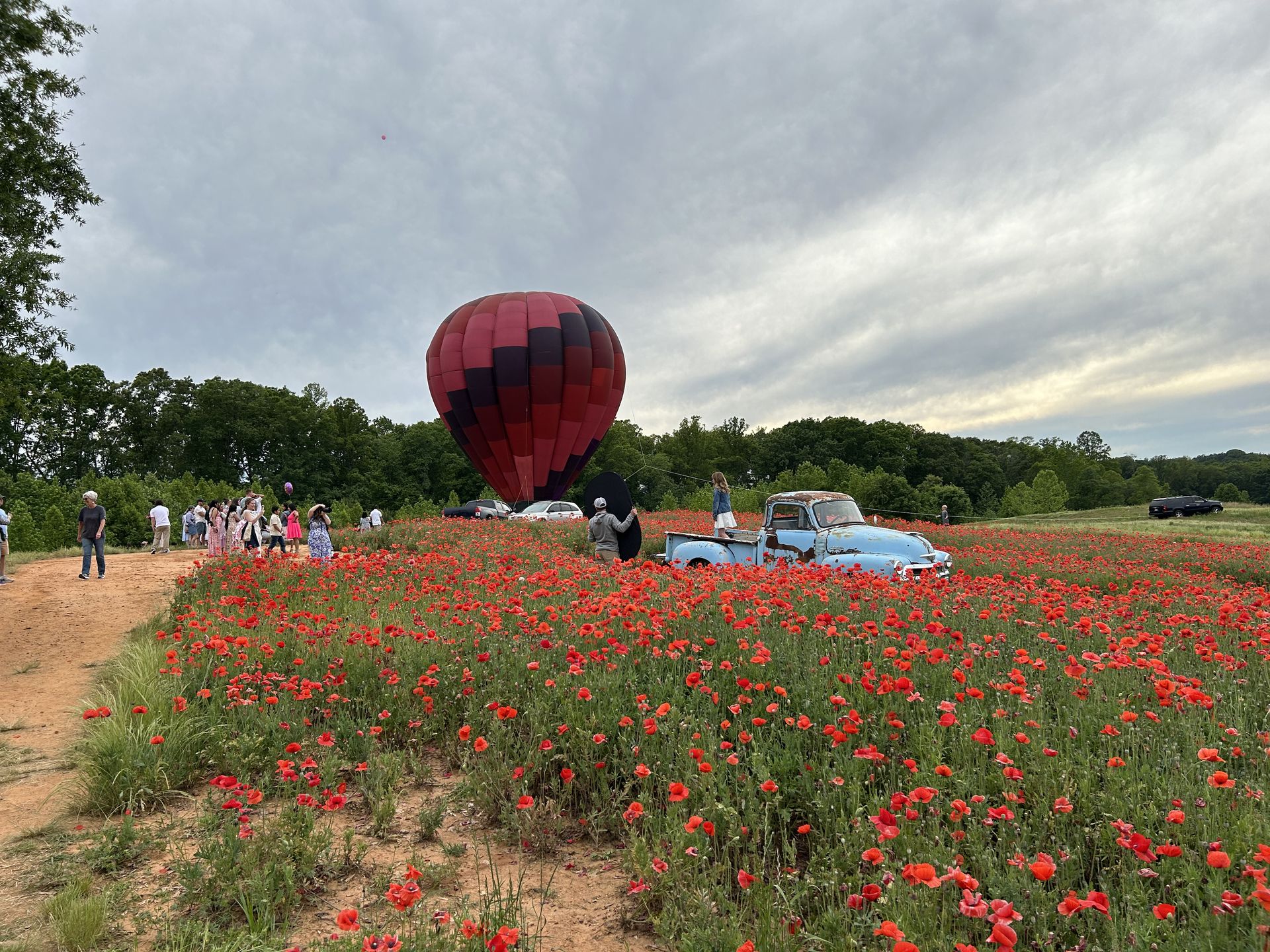 Guests watching a balloon over a wildflower field at a festival