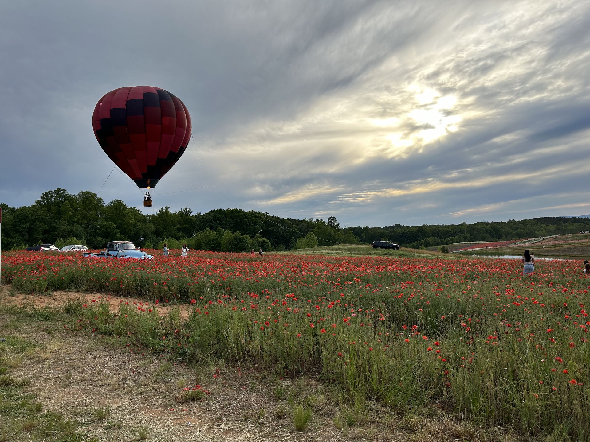 Balloon over the treeline at dusk