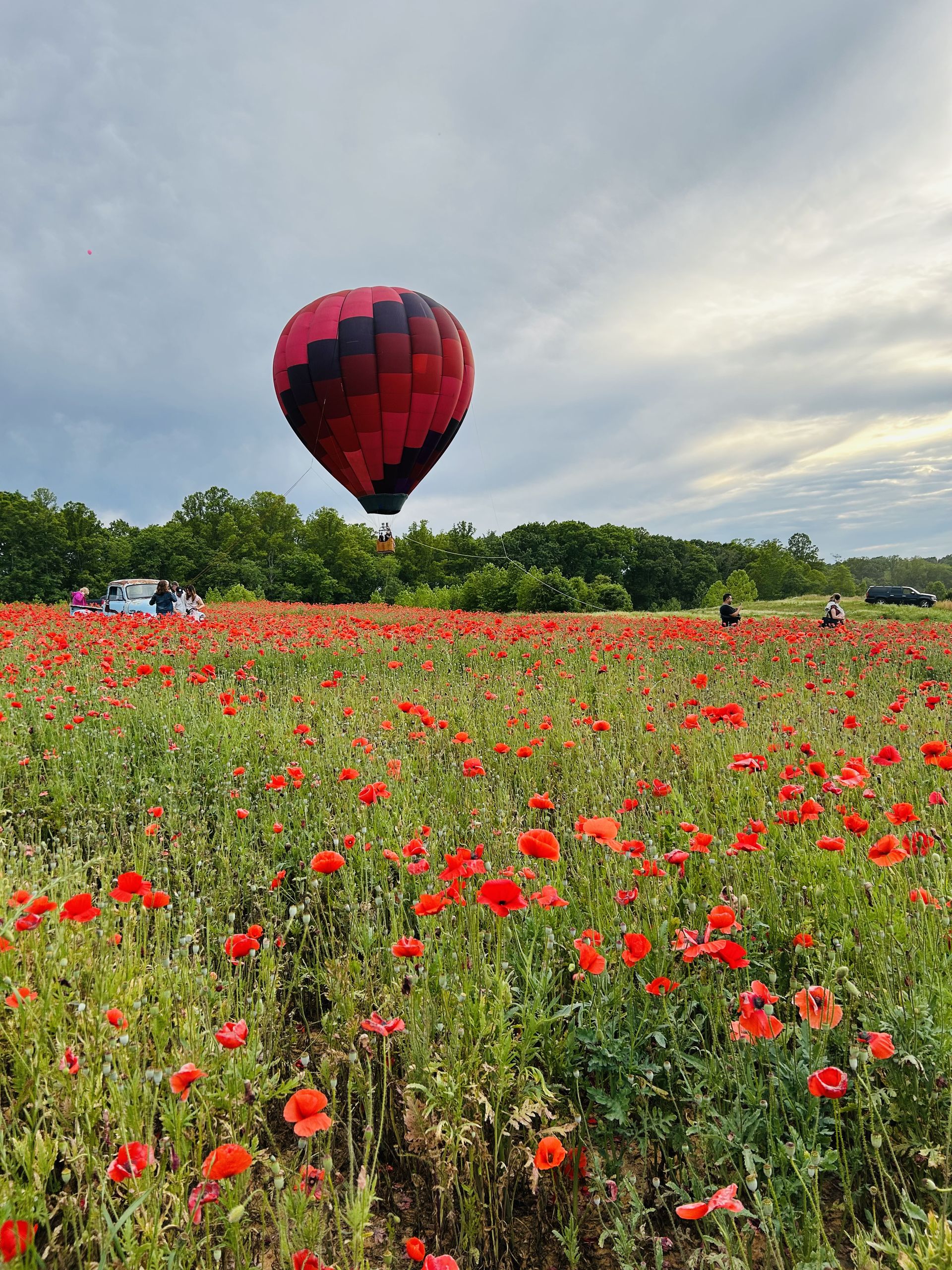 Balloon over a field of red poppies