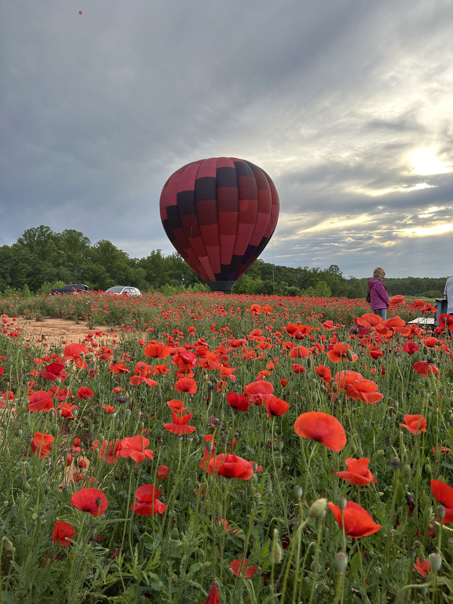 Balloon flying low over a wildflower field