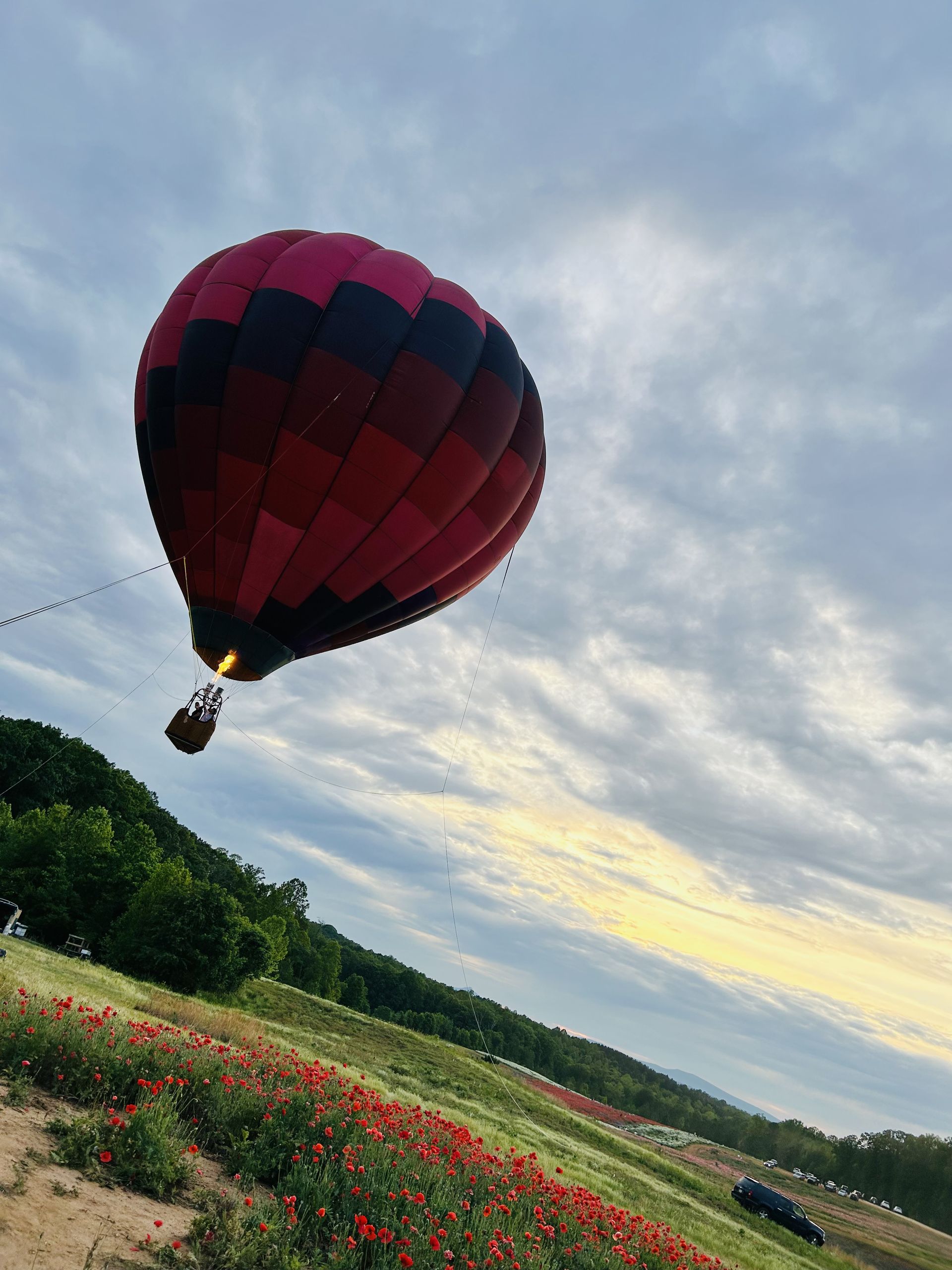 Balloon in flight above a lake