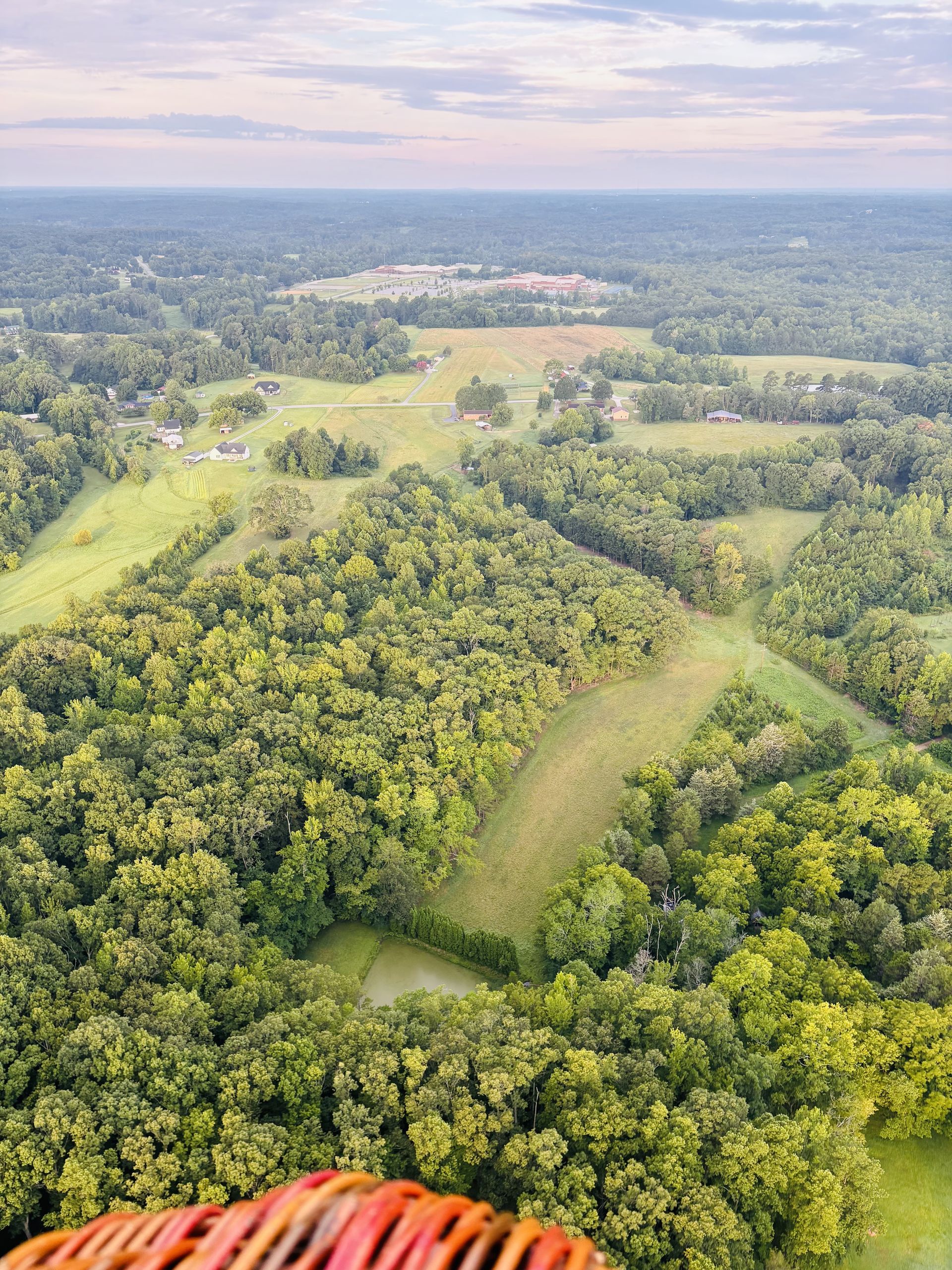 Aerial view over trees and a farmhouse